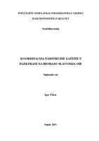 Koordinacija nadstrujne zaštite u elektrani na biomasu Slavonija OIE