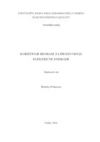 Korištenje biomase za proizvodnju električne energije